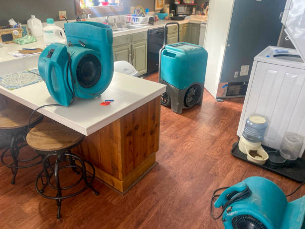  Conley, GA Water damage restoration Pros