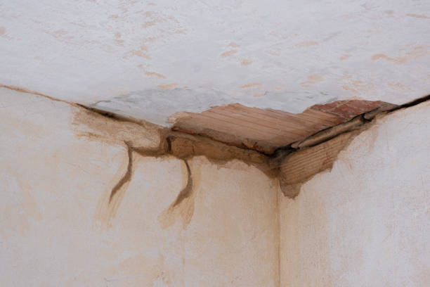 Best Water damage contractors near me  in Conley, GA