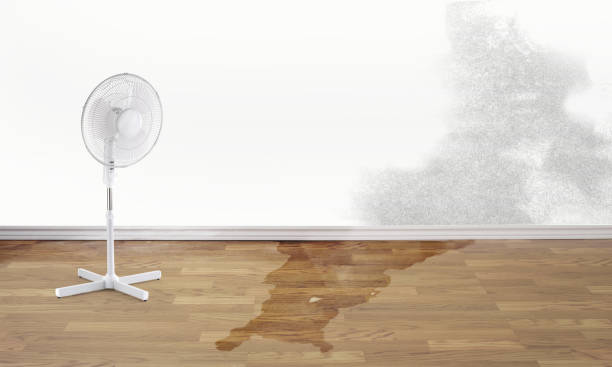 Best Local water damage restoration  in Conley, GA