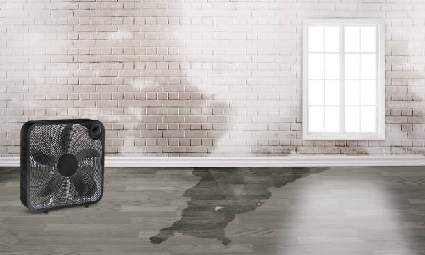 Best Commercial water damage restoration  in Conley, GA