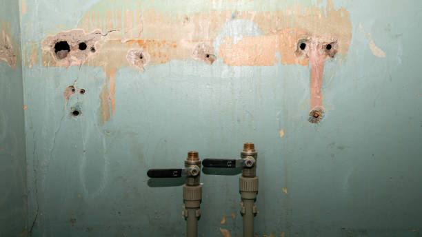 Best Ceiling water damage repair  in Conley, GA