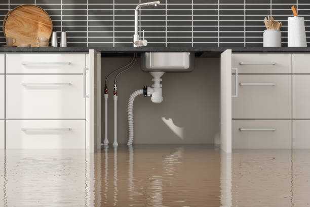Best Water damage cleanup near me  in Conley, GA