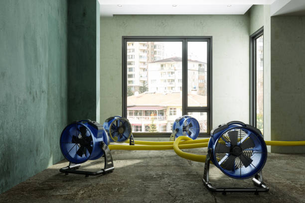 Best Water damage restoration process  in Conley, GA
